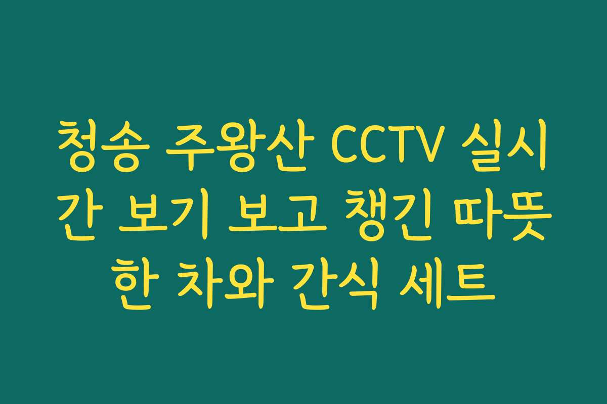 청송 주왕산 CCTV 실시간 보기 보고 챙긴 따뜻한 차와 간식 세트