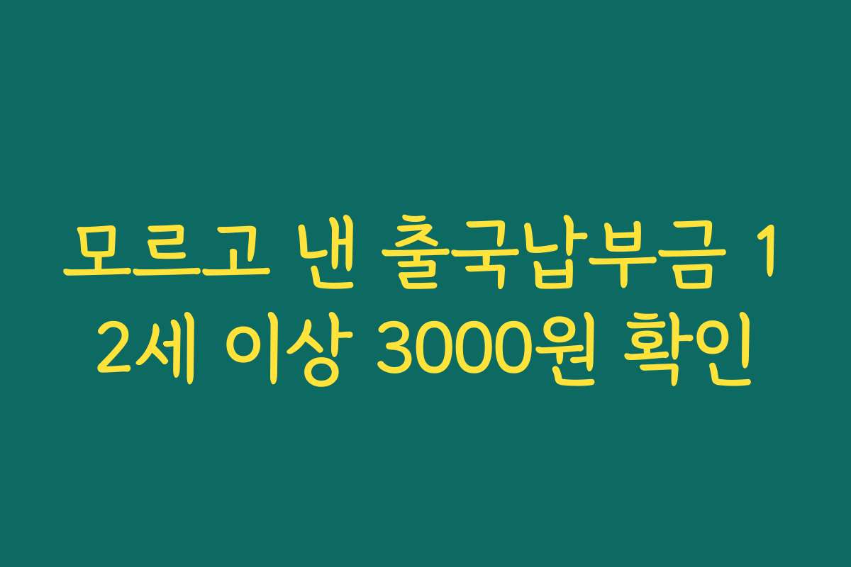모르고 낸 출국납부금 12세 이상 3000원 확인