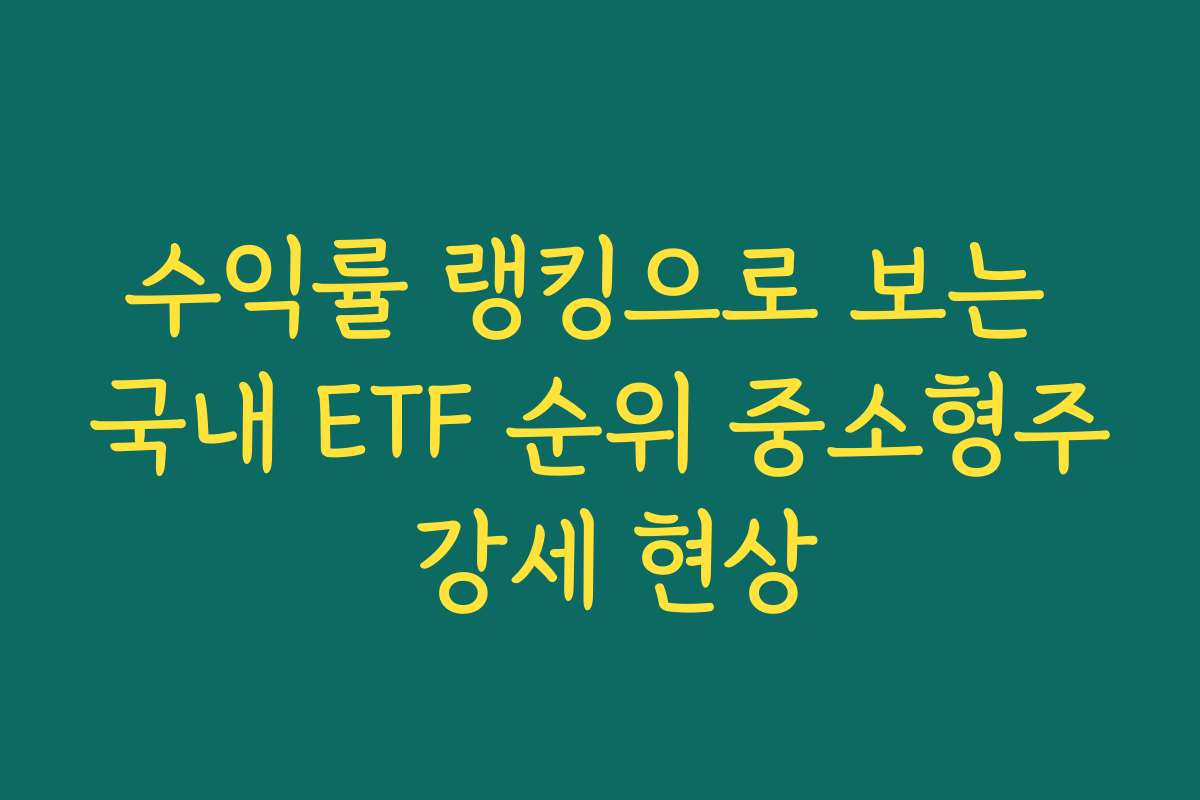 수익률 랭킹으로 보는 국내 ETF 순위 중소형주 강세 현상