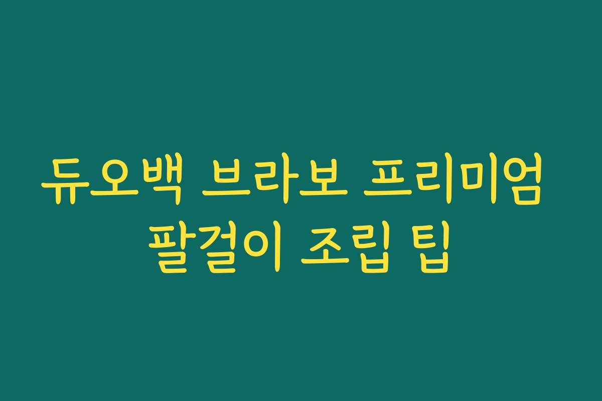 듀오백 브라보 프리미엄 팔걸이 조립 팁