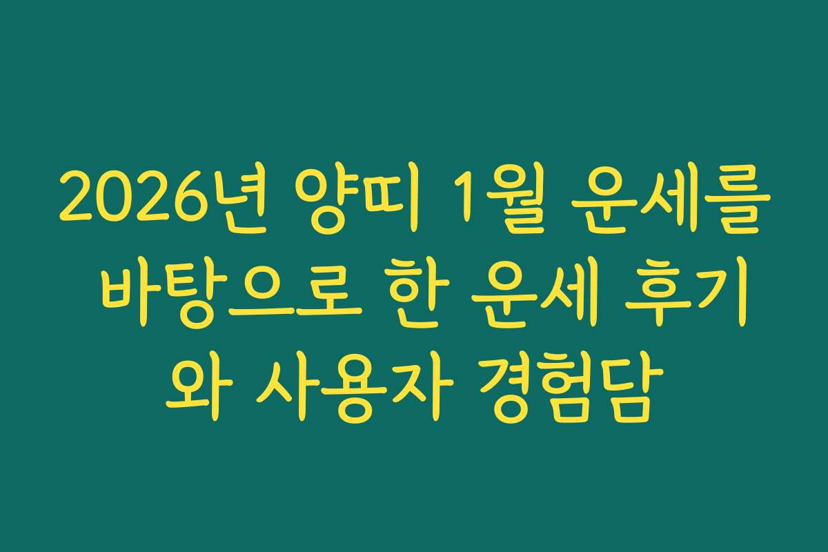2026년 양띠 1월 운세를 바탕으로 한 운세 후기와 사용자 경험담