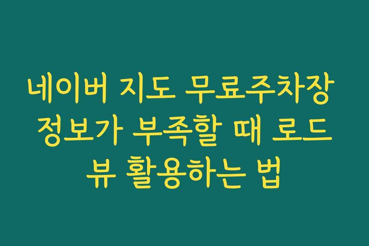 네이버 지도 무료주차장 정보가 부족할 때 로드뷰 활용하는 법