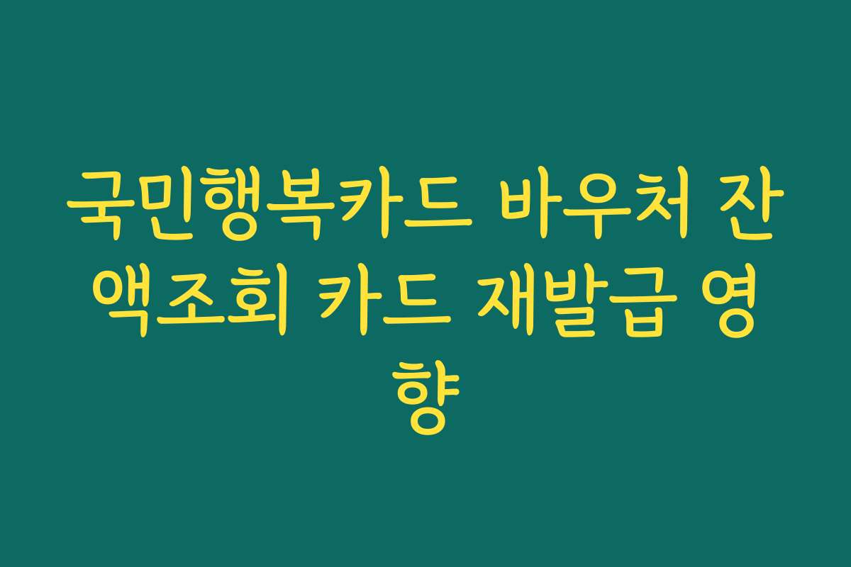 국민행복카드 바우처 잔액조회 카드 재발급 영향