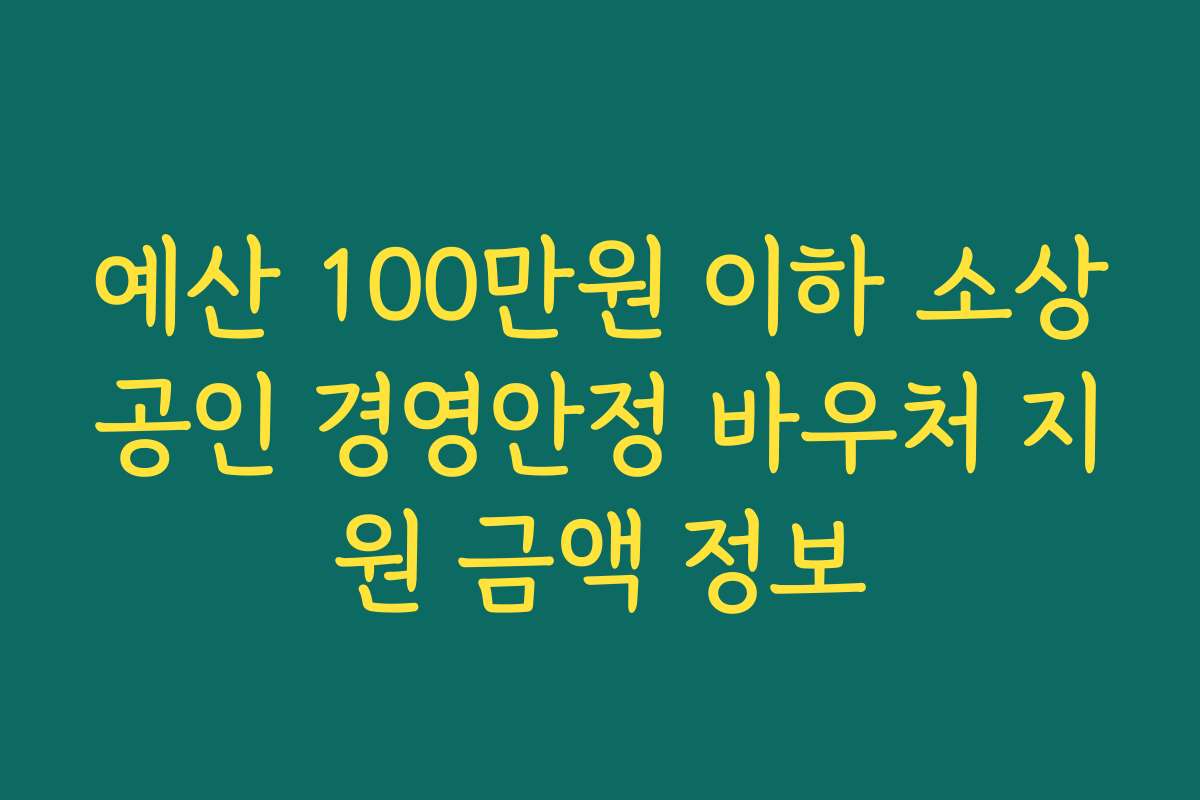 예산 100만원 이하 소상공인 경영안정 바우처 지원 금액 정보