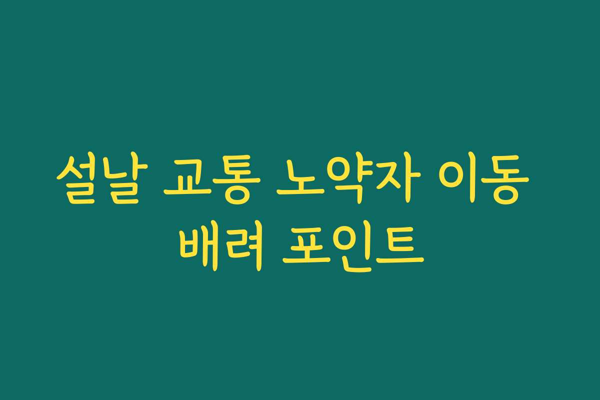 설날 교통 노약자 이동 배려 포인트
