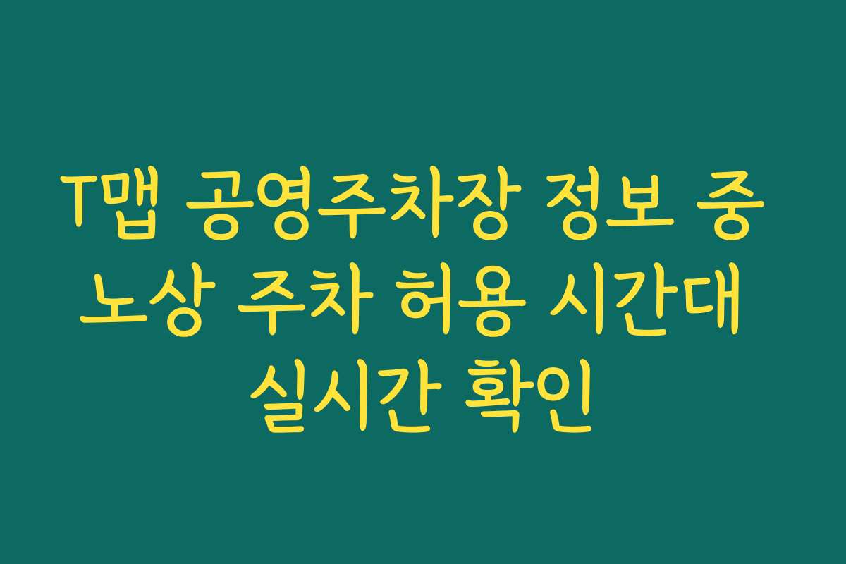 T맵 공영주차장 정보 중 노상 주차 허용 시간대 실시간 확인