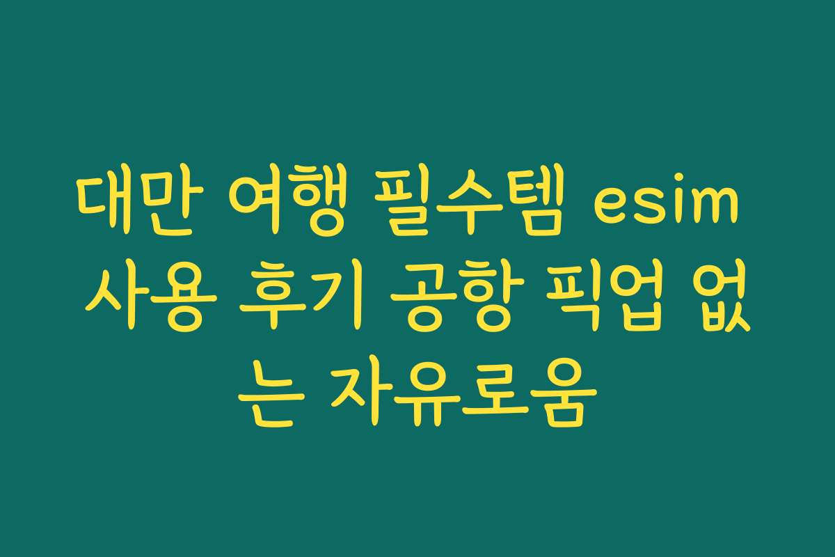 대만 여행 필수템 esim 사용 후기 공항 픽업 없는 자유로움