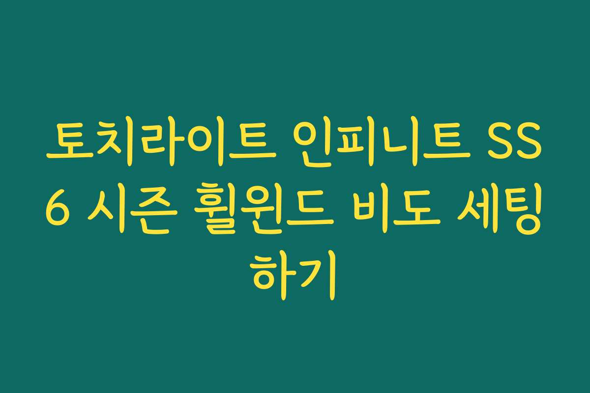 토치라이트 인피니트 SS6 시즌 휠윈드 비도 세팅하기