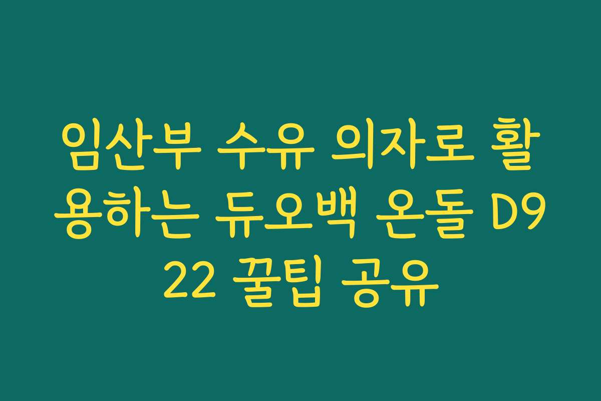 임산부 수유 의자로 활용하는 듀오백 온돌 D922 꿀팁 공유