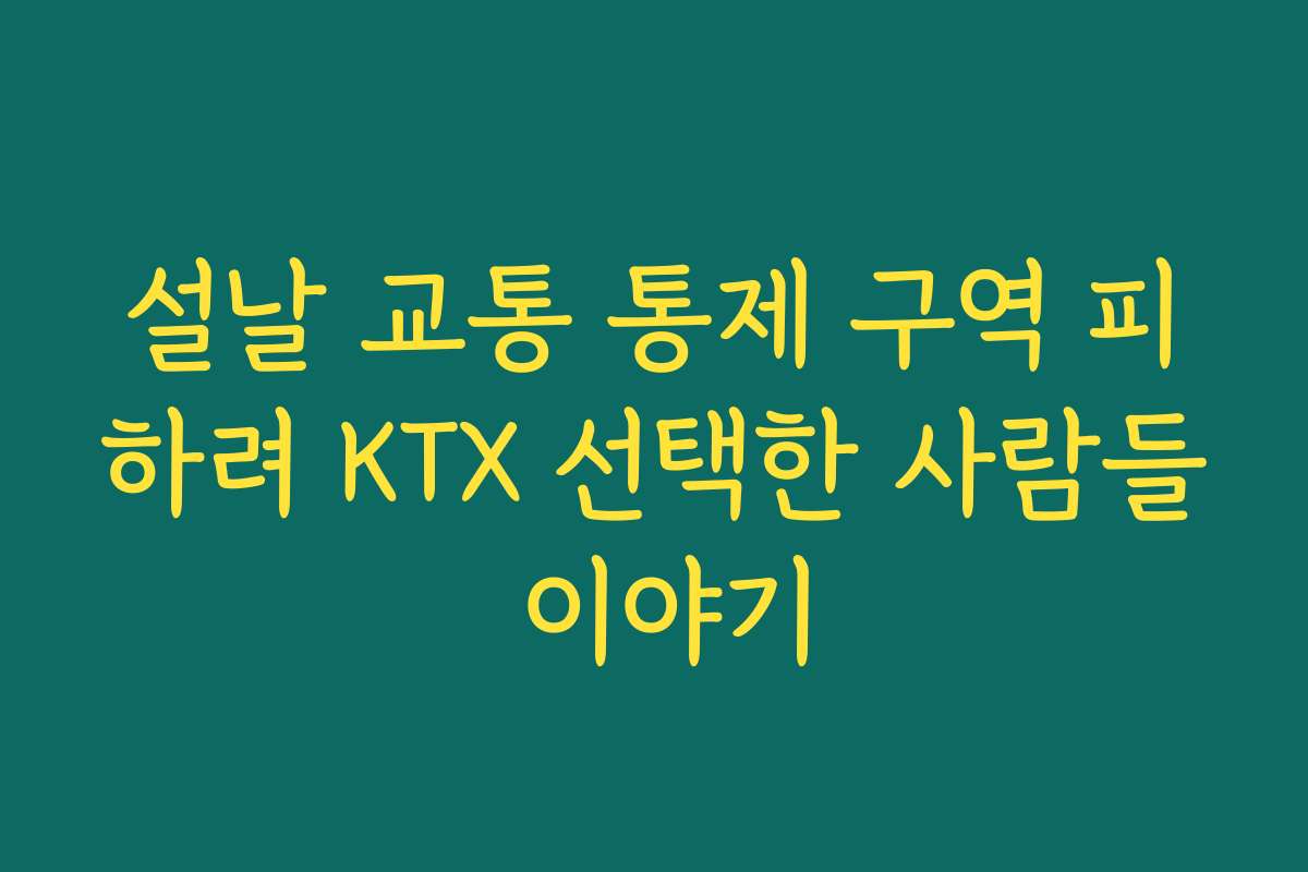 설날 교통 통제 구역 피하려 KTX 선택한 사람들 이야기