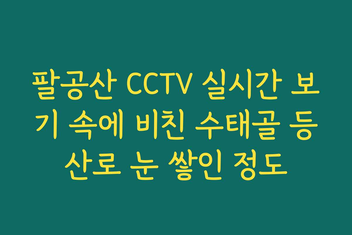 팔공산 CCTV 실시간 보기 속에 비친 수태골 등산로 눈 쌓인 정도