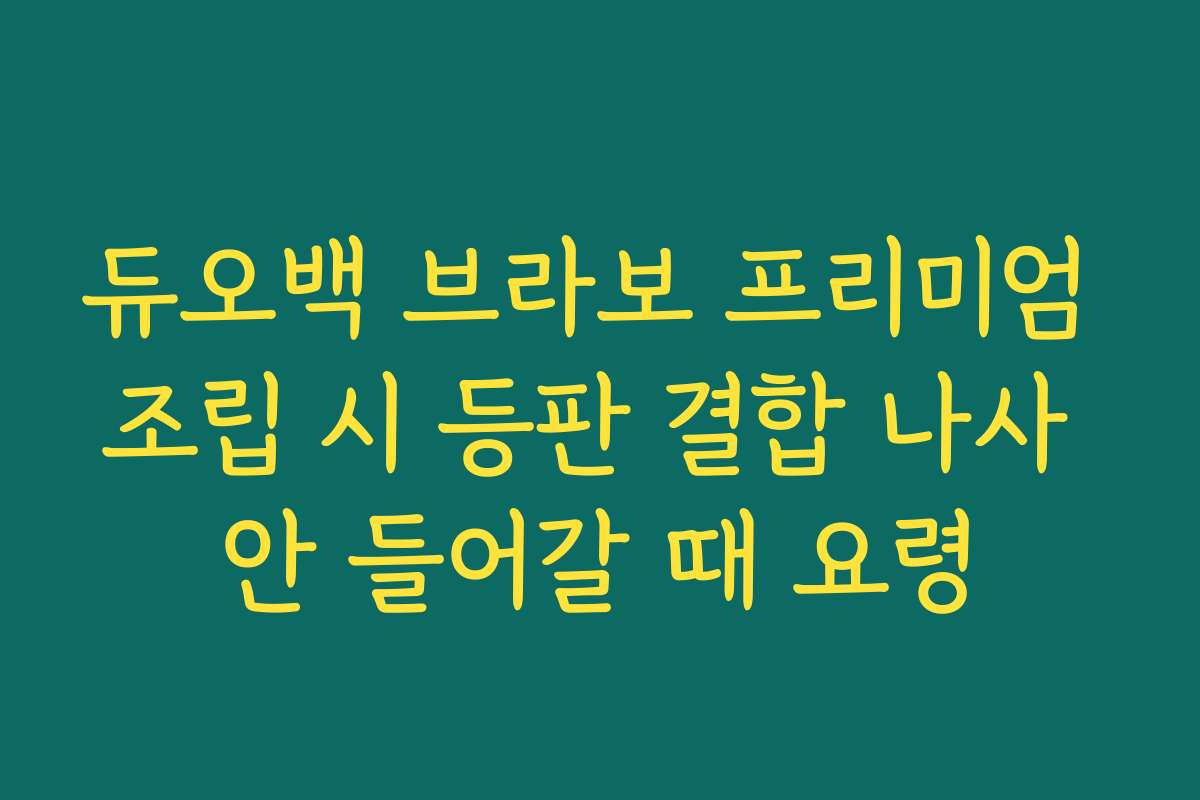 듀오백 브라보 프리미엄 조립 시 등판 결합 나사 안 들어갈 때 요령