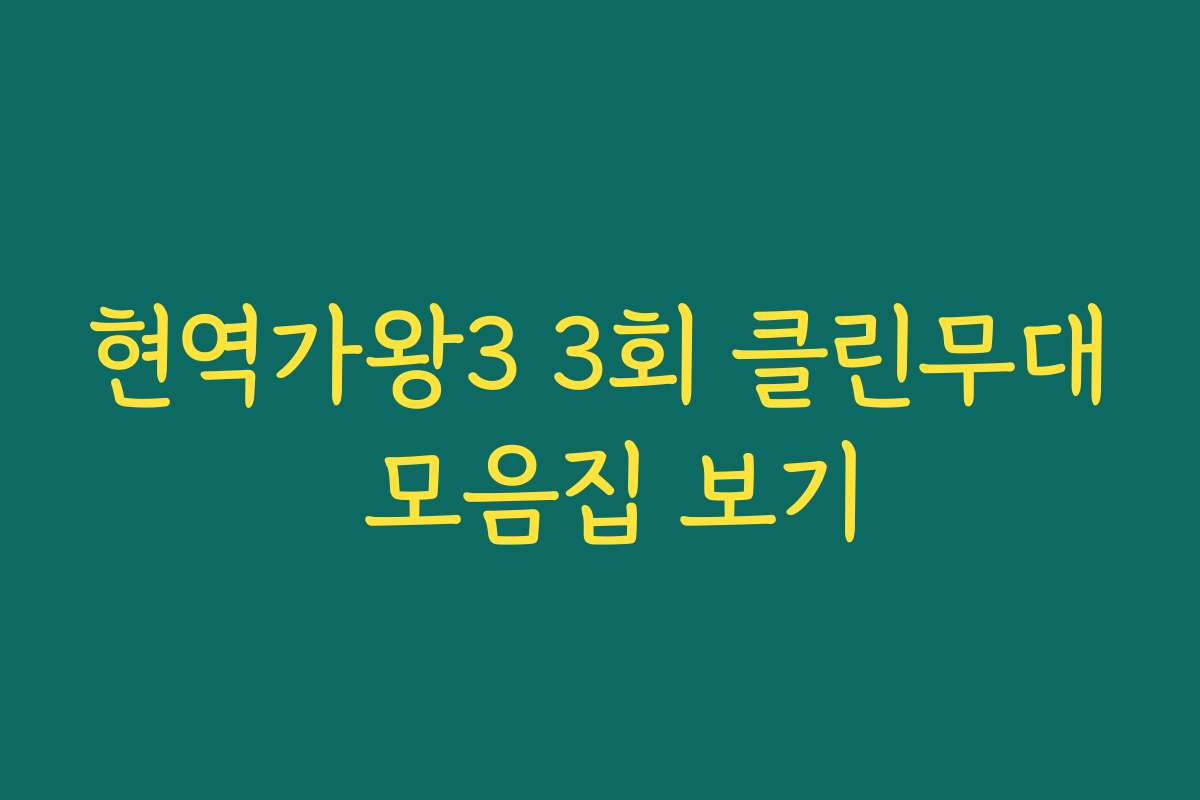 현역가왕3 3회 클린무대 모음집 보기