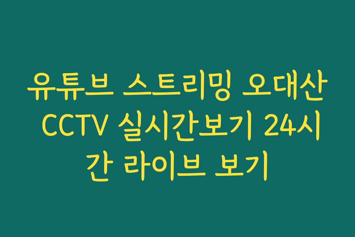 유튜브 스트리밍 오대산 CCTV 실시간보기 24시간 라이브 보기