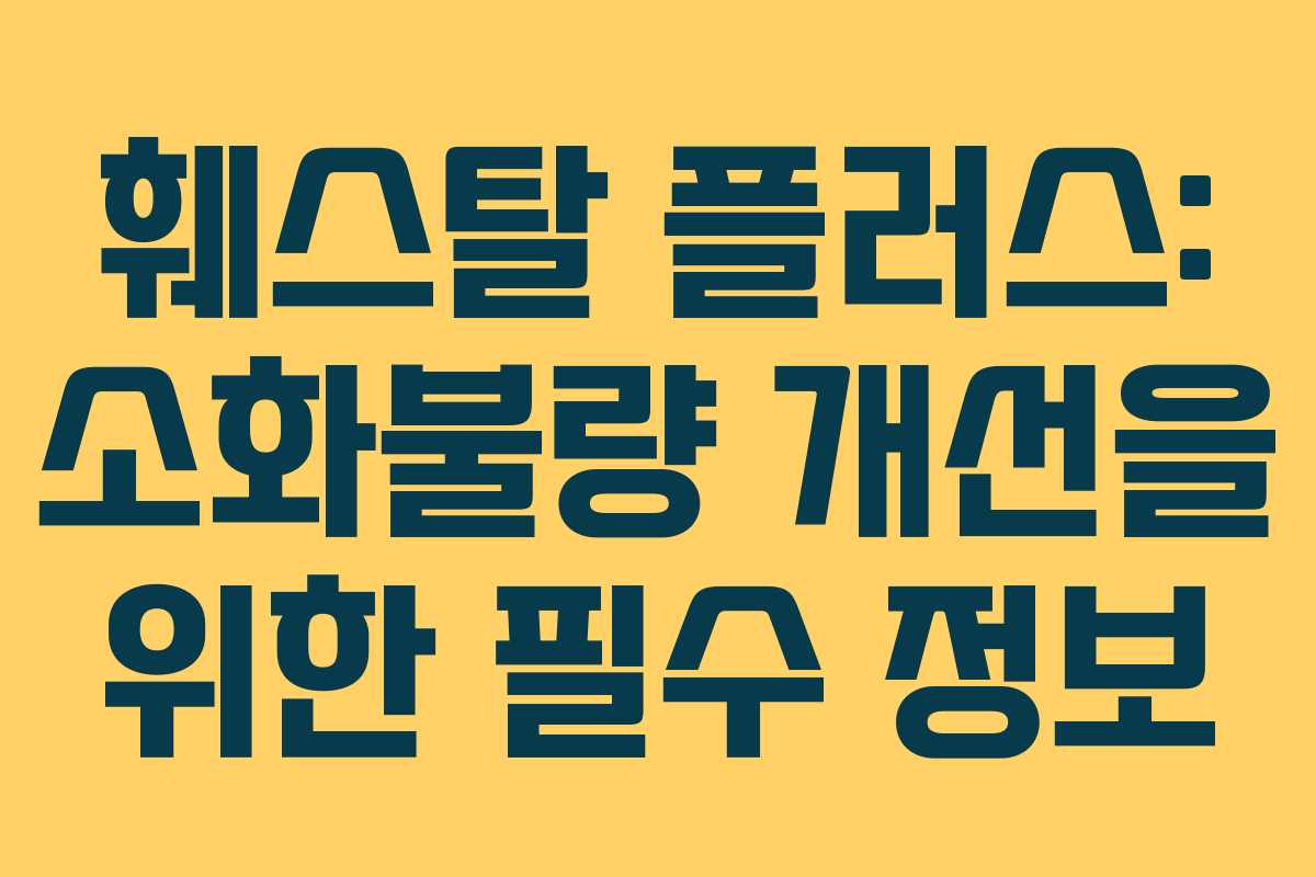 훼스탈 플러스: 소화불량 개선을 위한 필수 정보