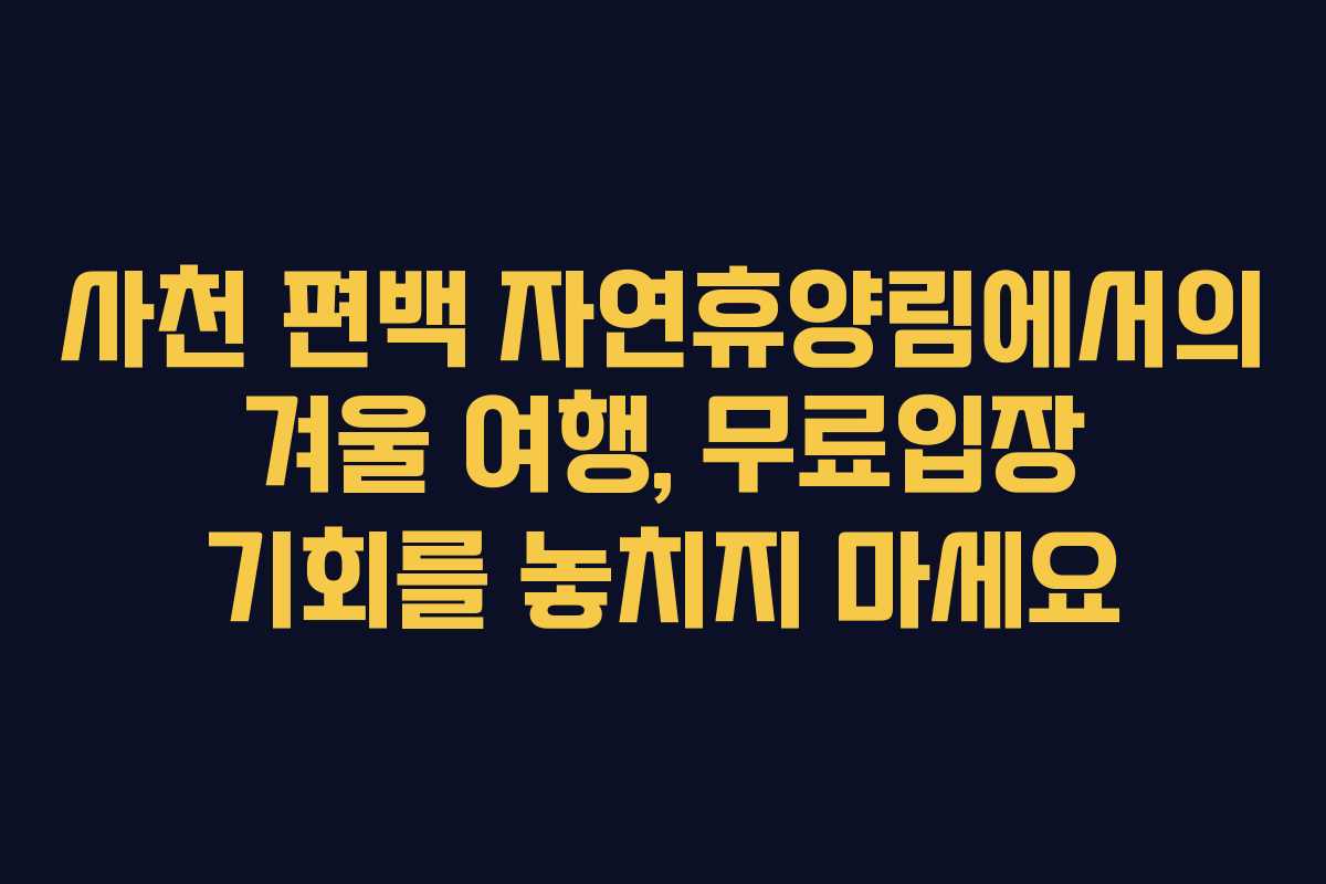 사천 편백 자연휴양림에서의 겨울 여행, 무료입장 기회를 놓치지 마세요