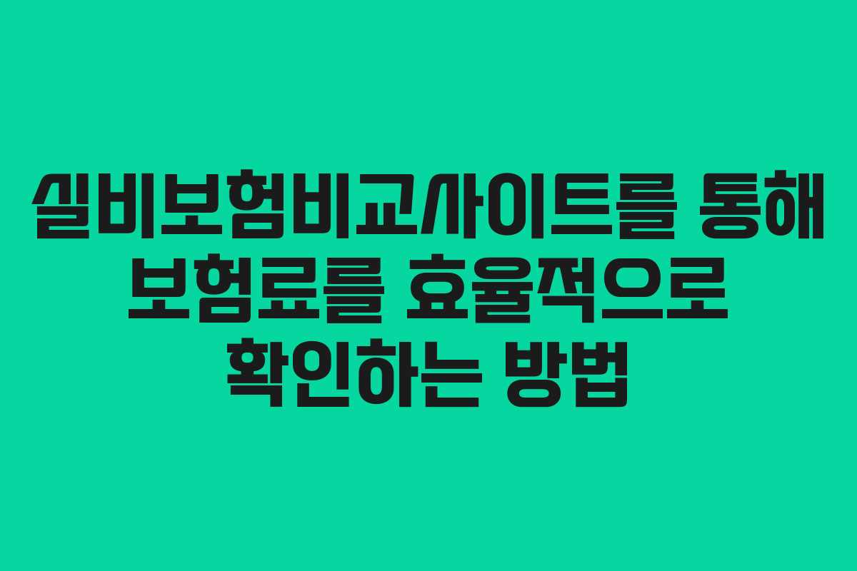 실비보험비교사이트를 통해 보험료를 효율적으로 확인하는 방법