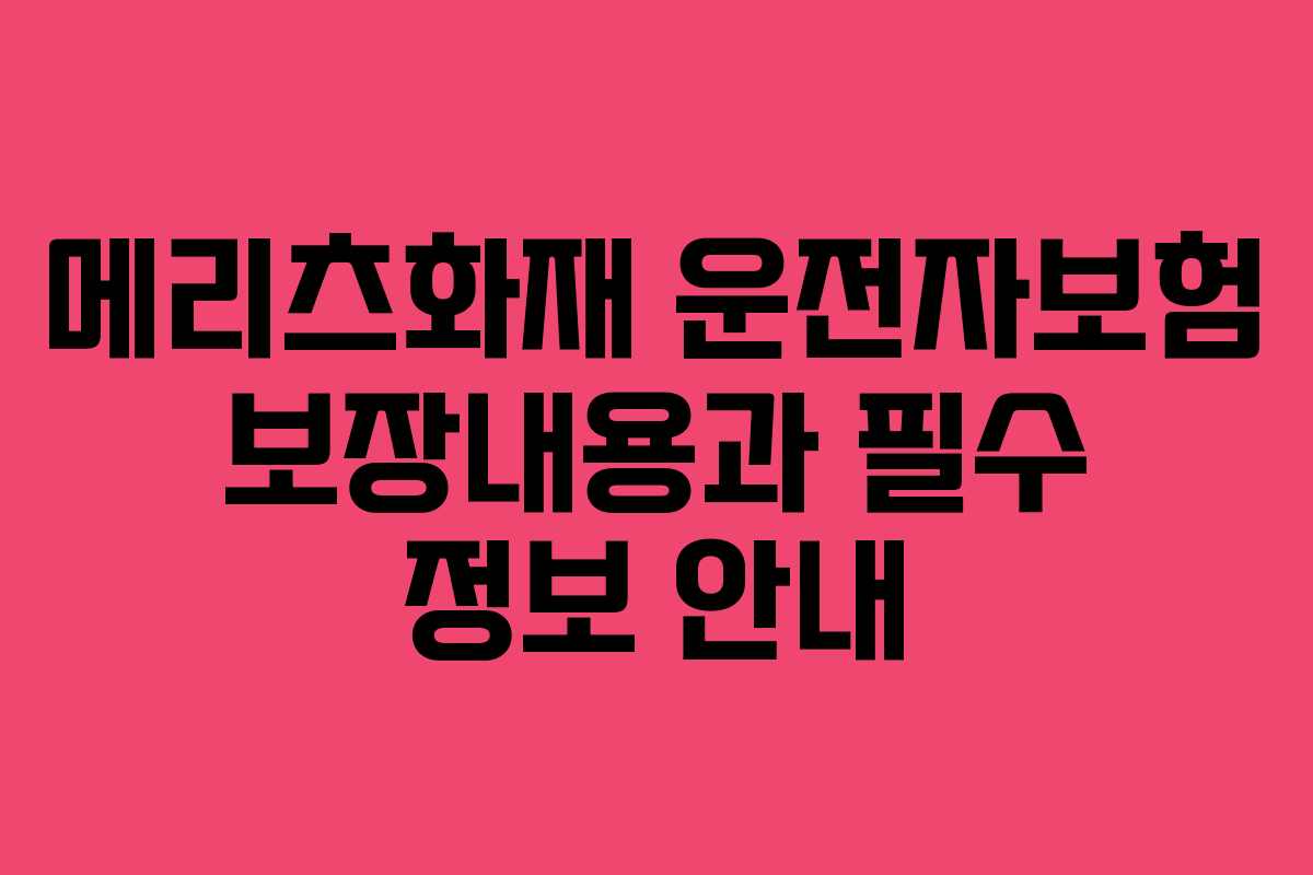 메리츠화재 운전자보험 보장내용과 필수 정보 안내 메리츠화재 운전자보험 보장내용과 필수 정보 안내