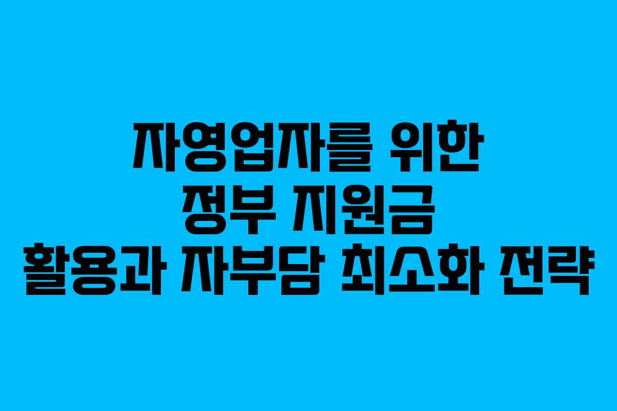 자영업자를 위한 정부 지원금 활용과 자부담 최소화 전략