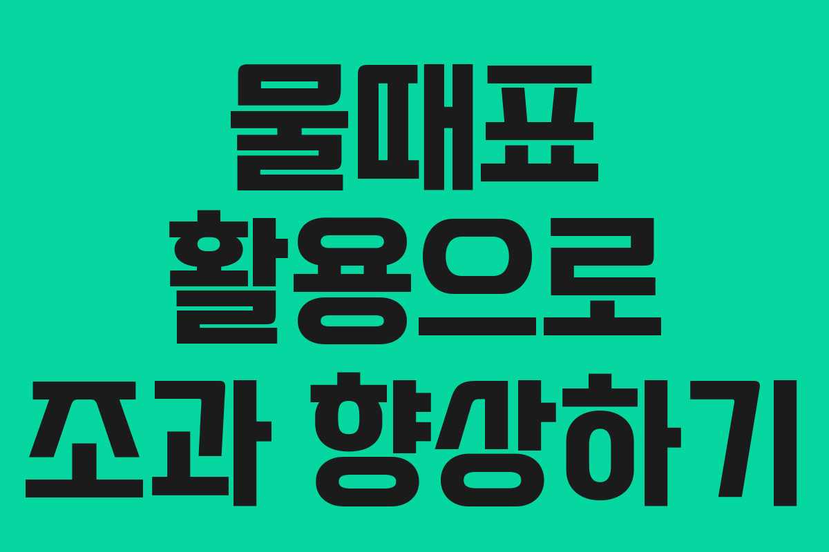 물때표 활용으로 조과 향상하기