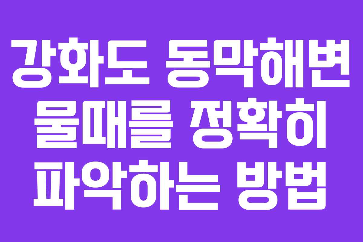 강화도 동막해변 물때를 정확히 파악하는 방법