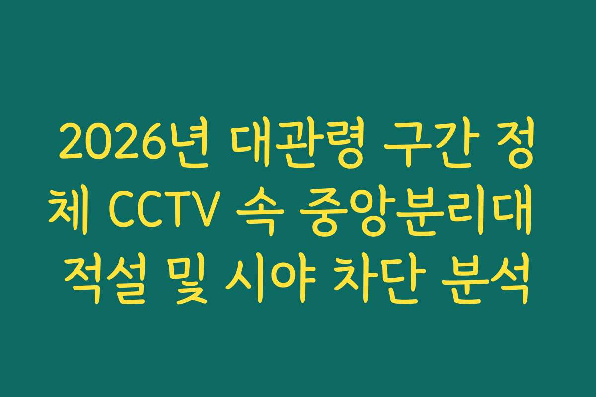 2026년 대관령 구간 정체 CCTV 속 중앙분리대 적설 및 시야 차단 분석