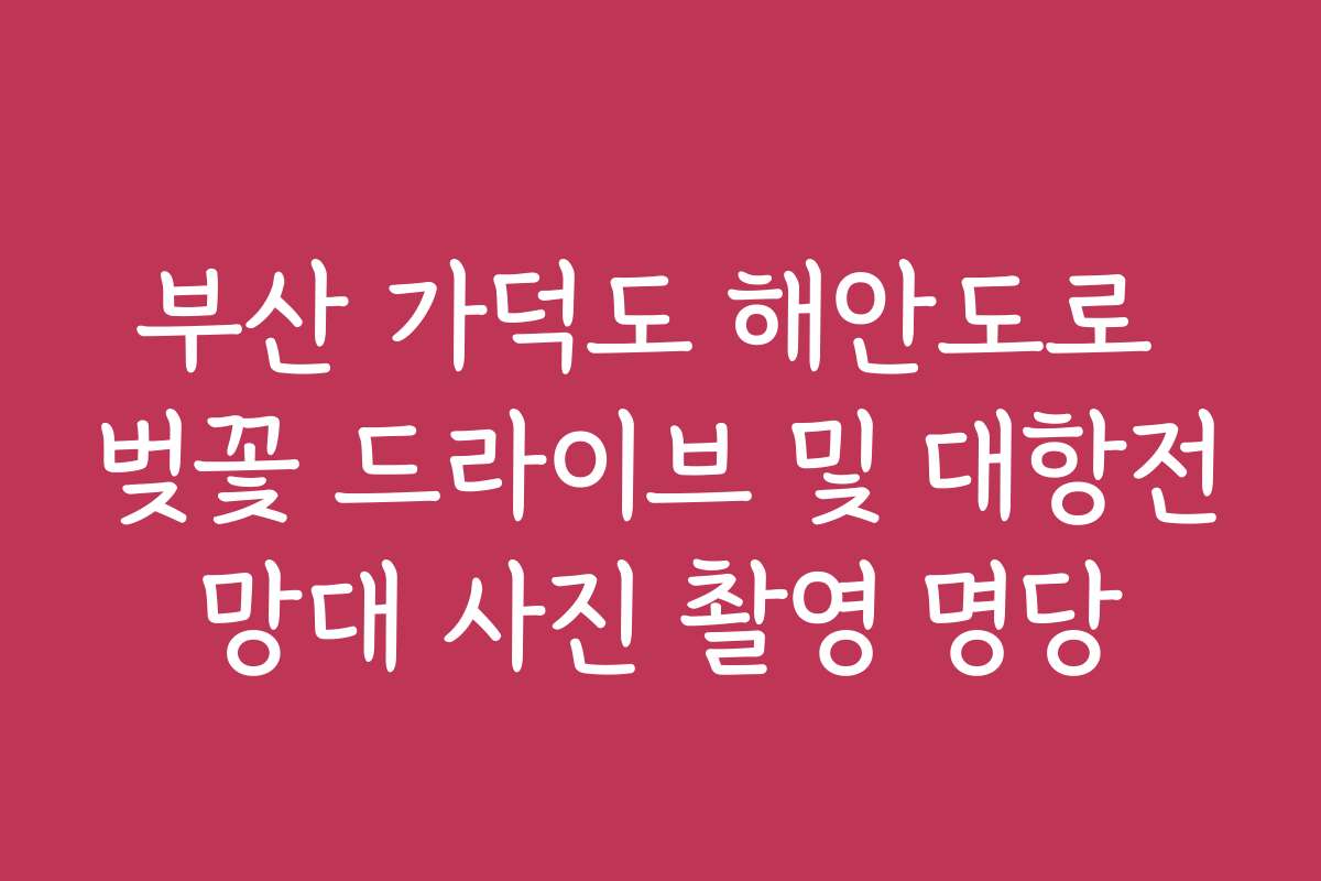 부산 가덕도 해안도로 벚꽃 드라이브 및 대항전망대 사진 촬영 명당