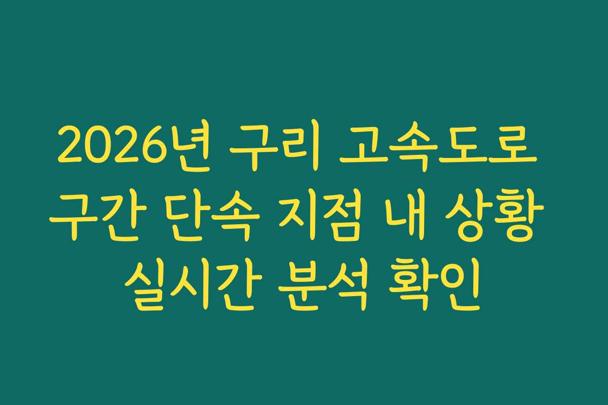 2026년 구리 고속도로 구간 단속 지점 내 상황 실시간 분석 확인