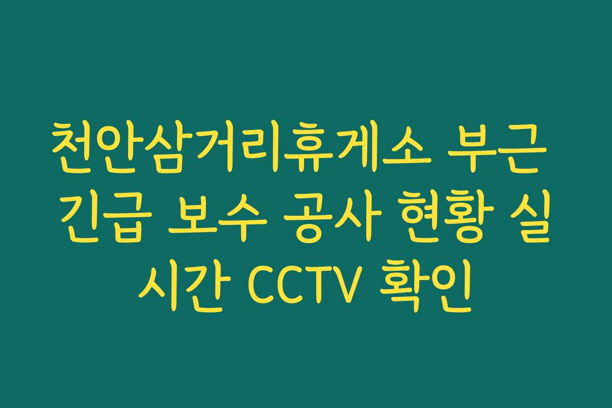 천안삼거리휴게소 부근 긴급 보수 공사 현황 실시간 CCTV 확인 천안삼거리휴게소 부근 긴급 보수 공사 현황 실시간 CCTV 확인