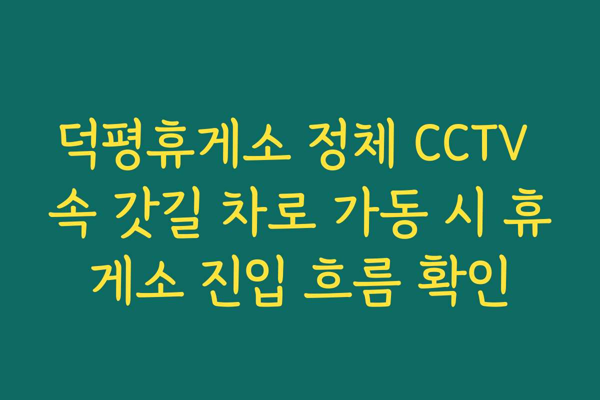 덕평휴게소 정체 CCTV 속 갓길 차로 가동 시 휴게소 진입 흐름 확인 덕평휴게소 정체 CCTV 속 갓길 차로 가동 시 휴게소 진입 흐름 확인