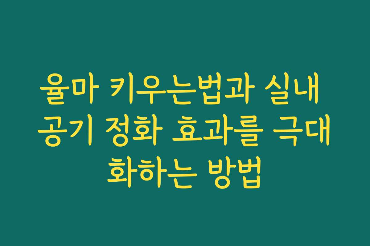 율마 키우는법과 실내 공기 정화 효과를 극대화하는 방법