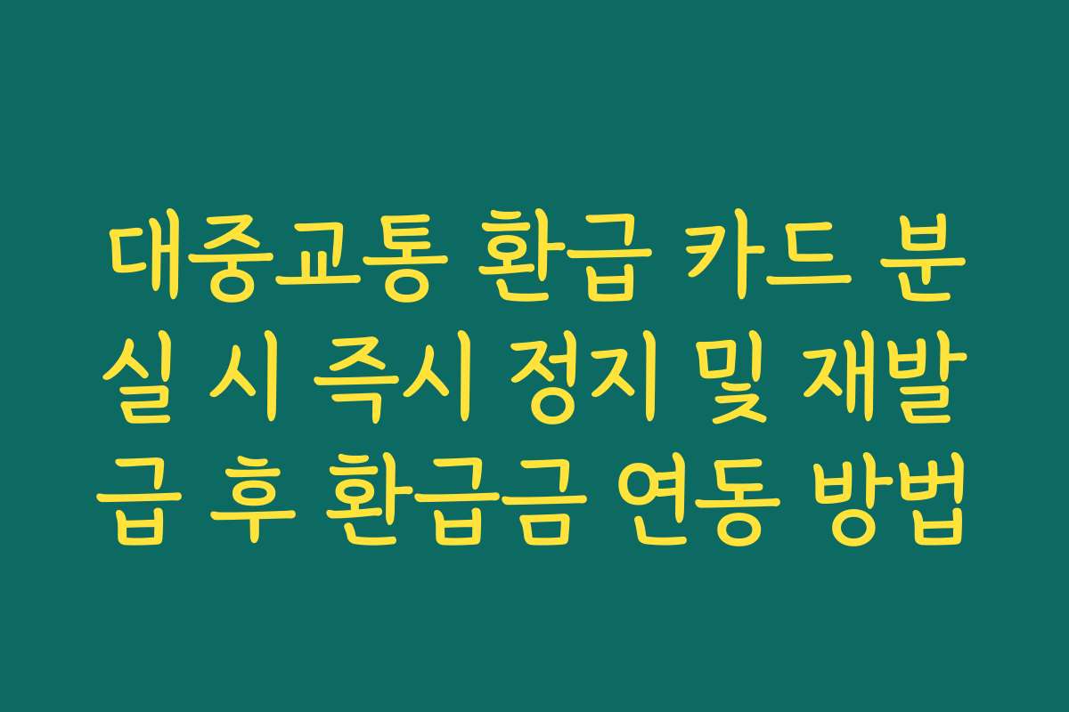 대중교통 환급 카드 분실 시 즉시 정지 및 재발급 후 환급금 연동 방법