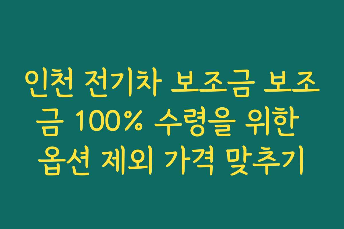 인천 전기차 보조금 보조금 100% 수령을 위한 옵션 제외 가격 맞추기