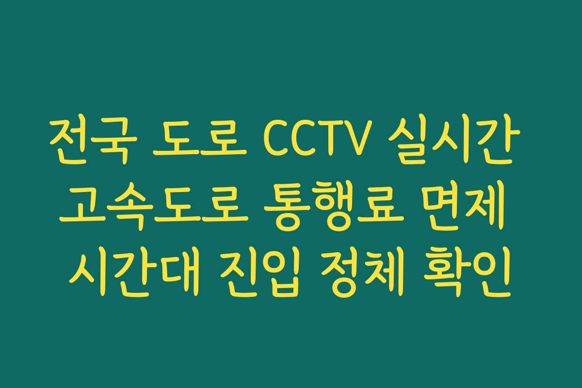 전국 도로 CCTV 실시간 고속도로 통행료 면제 시간대 진입 정체 확인