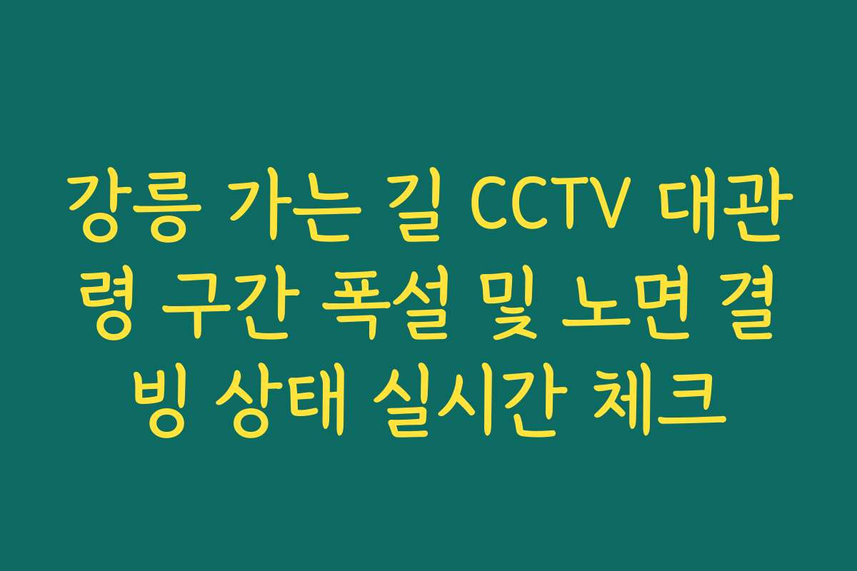 강릉 가는 길 CCTV 대관령 구간 폭설 및 노면 결빙 상태 실시간 체크