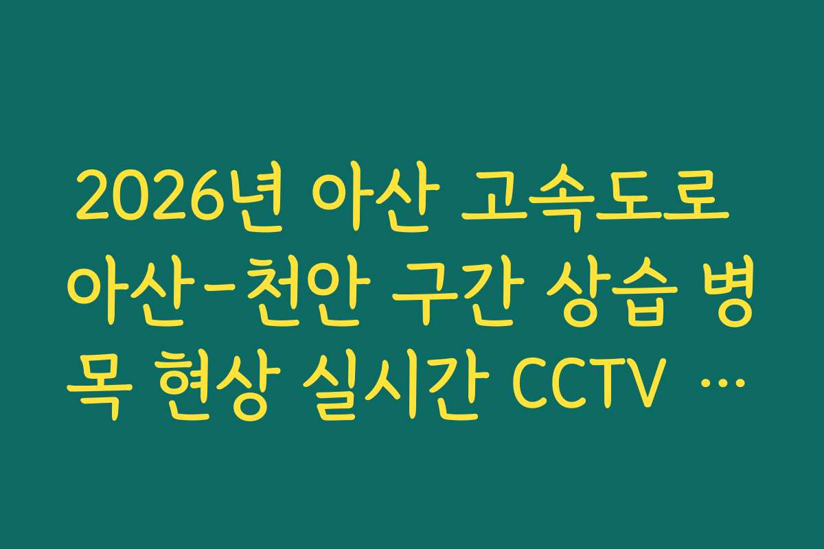 2026년 아산 고속도로 아산-천안 구간 상습 병목 현상 실시간 CCTV 확인