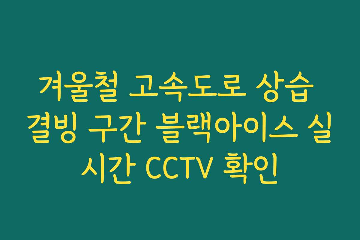 겨울철 고속도로 상습 결빙 구간 블랙아이스 실시간 CCTV 확인