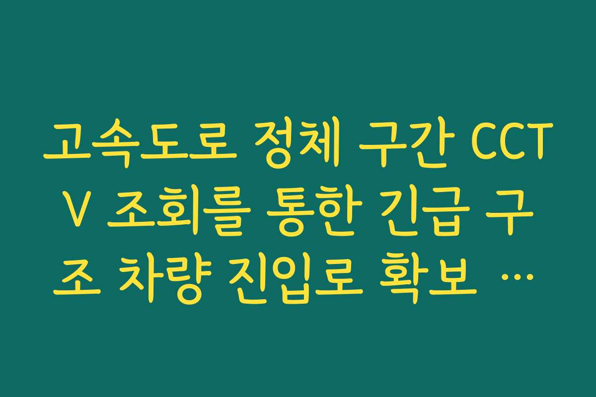 고속도로 정체 구간 CCTV 조회를 통한 긴급 구조 차량 진입로 확보 실시간 확인