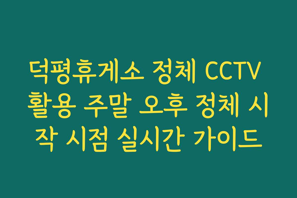 덕평휴게소 정체 CCTV 활용 주말 오후 정체 시작 시점 실시간 가이드 덕평휴게소 정체 CCTV 활용 주말 오후 정체 시작 시점 실시간 가이드