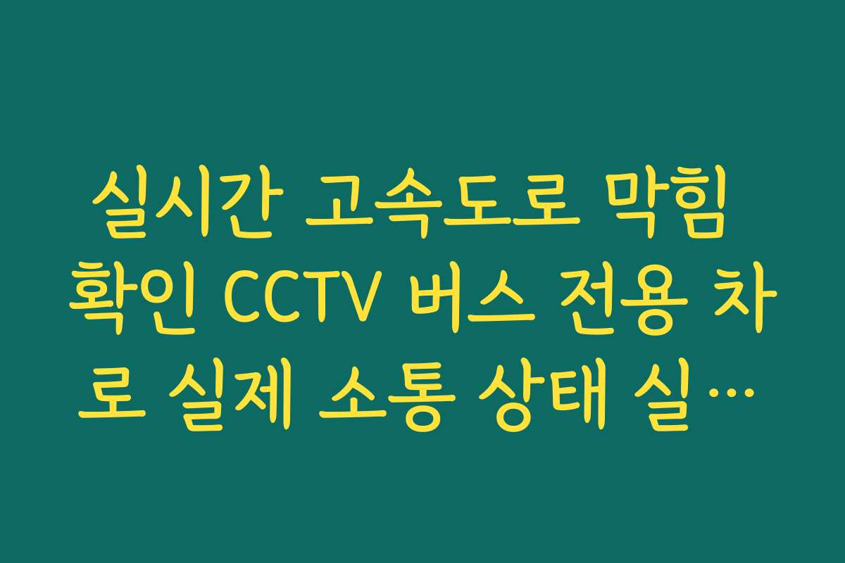 실시간 고속도로 막힘 확인 CCTV 버스 전용 차로 실제 소통 상태 실시간 확인