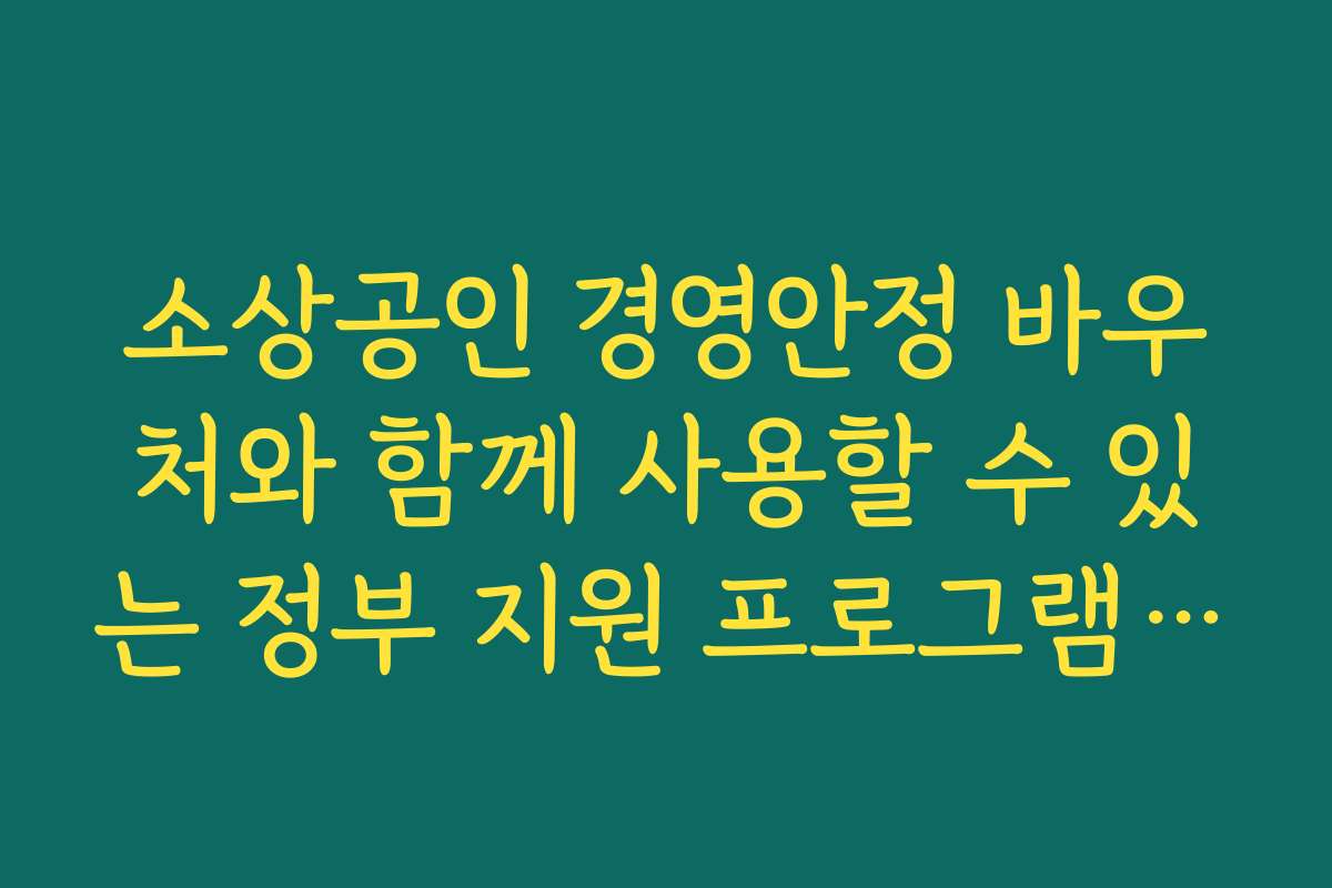 소상공인 경영안정 바우처와 함께 사용할 수 있는 정부 지원 프로그램 추천