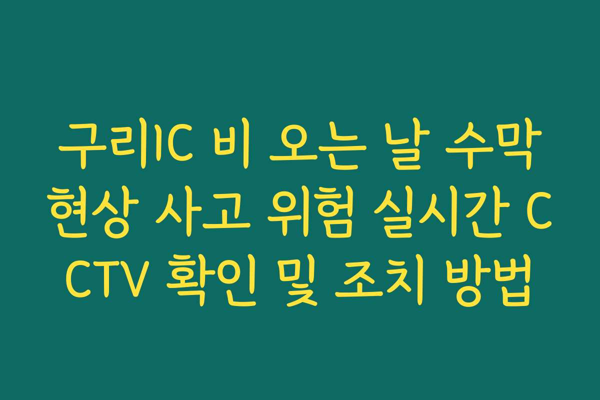 구리IC 비 오는 날 수막현상 사고 위험 실시간 CCTV 확인 및 조치 방법 구리IC 비 오는 날 수막현상 사고 위험 실시간 CCTV 확인 및 조치 방법