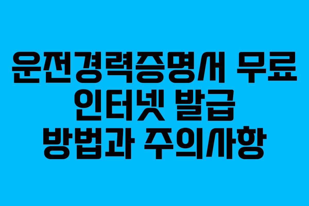 운전경력증명서 무료 인터넷 발급 방법과 주의사항