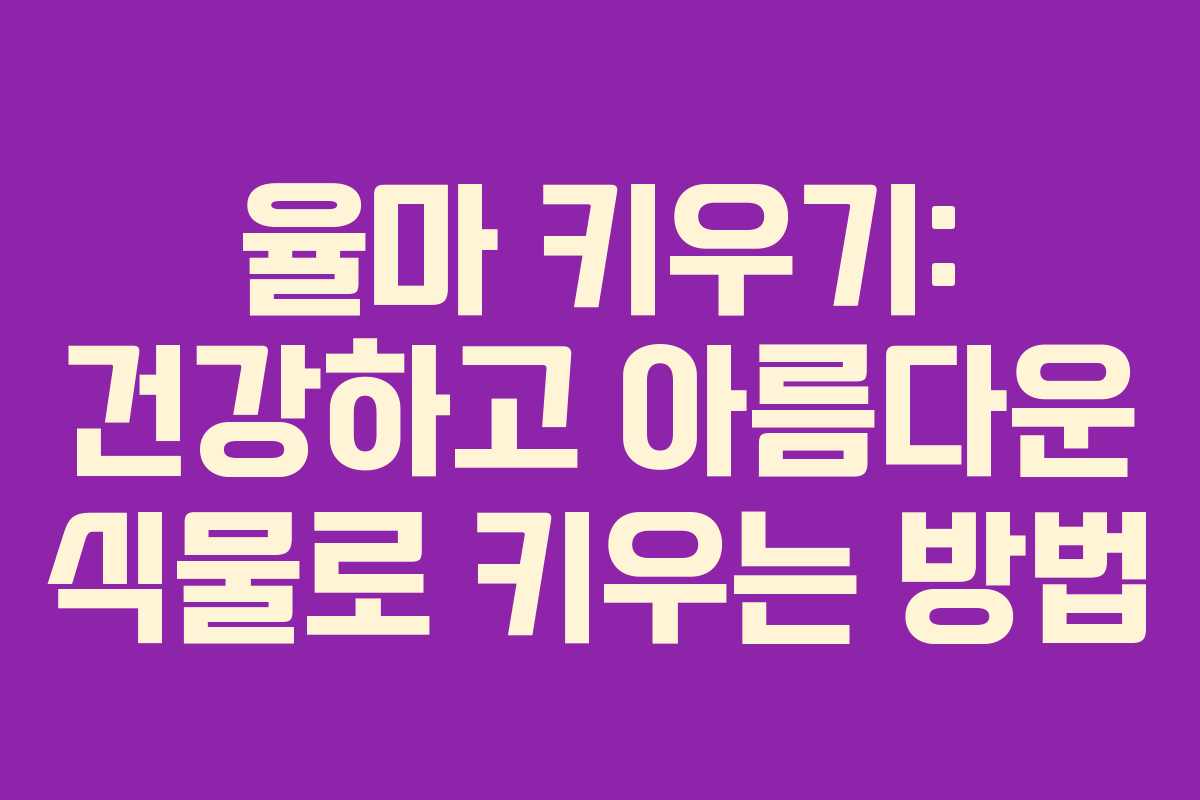 율마 키우기: 건강하고 아름다운 식물로 키우는 방법