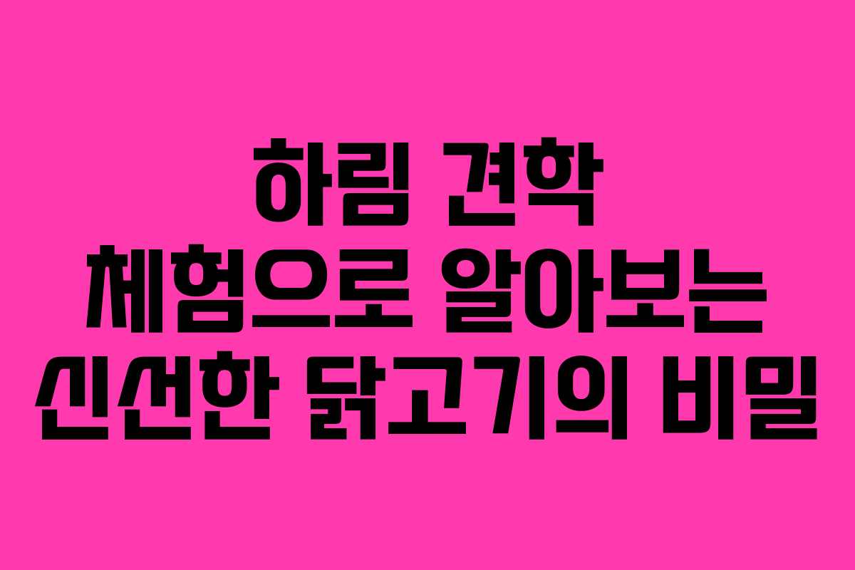 하림 견학 체험으로 알아보는 신선한 닭고기의 비밀