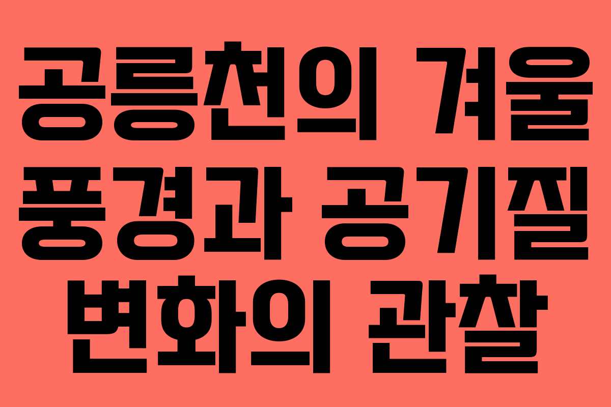 공릉천의 겨울 풍경과 공기질 변화의 관찰 공릉천의 겨울 풍경과 공기질 변화의 관찰