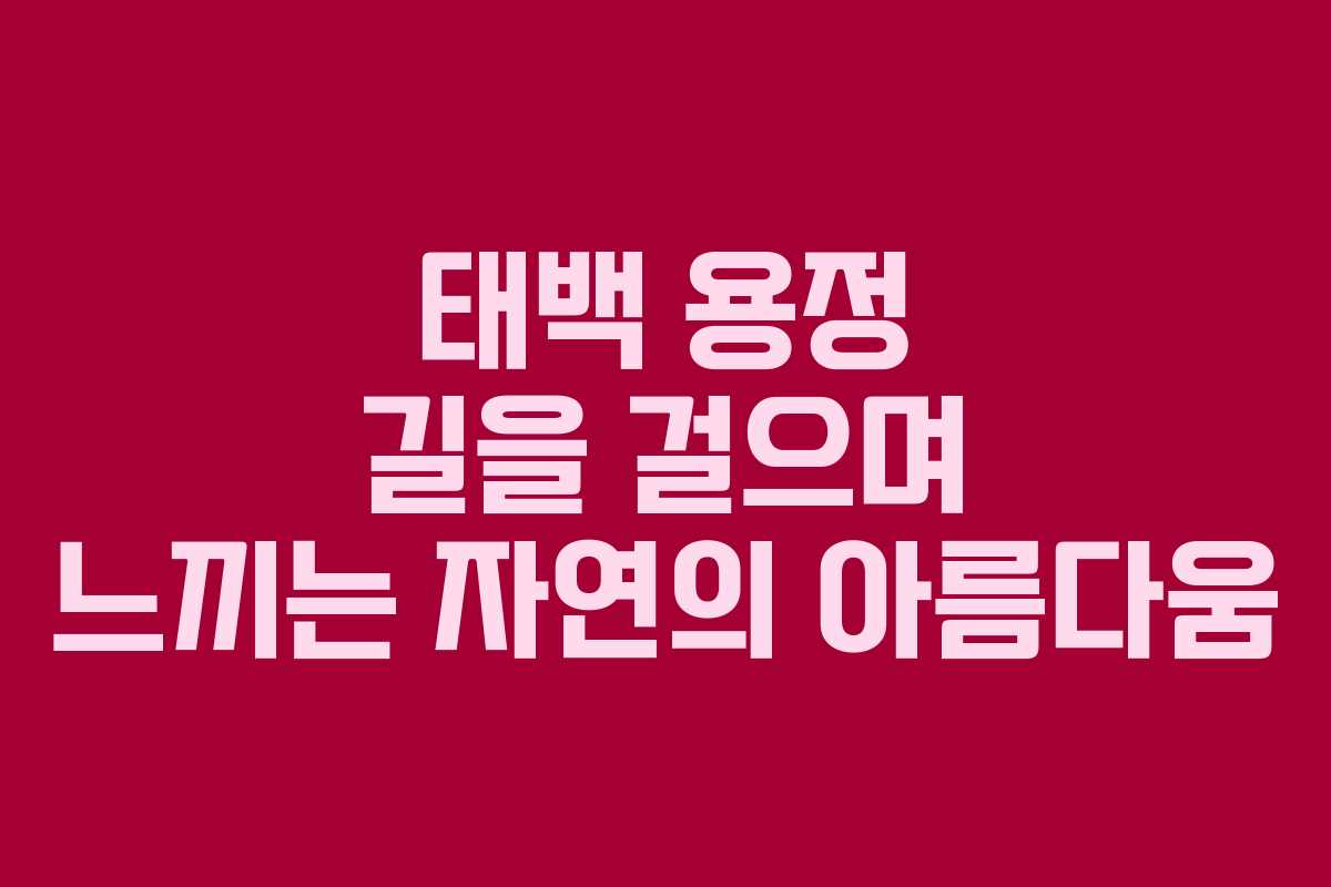 태백 용정 길을 걸으며 느끼는 자연의 아름다움 태백 용정 길을 걸으며 느끼는 자연의 아름다움