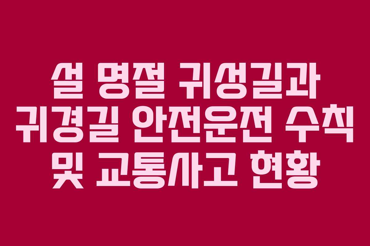 설 명절 귀성길과 귀경길 안전운전 수칙 및 교통사고 현황 설 명절 귀성길과 귀경길 안전운전 수칙 및 교통사고 현황