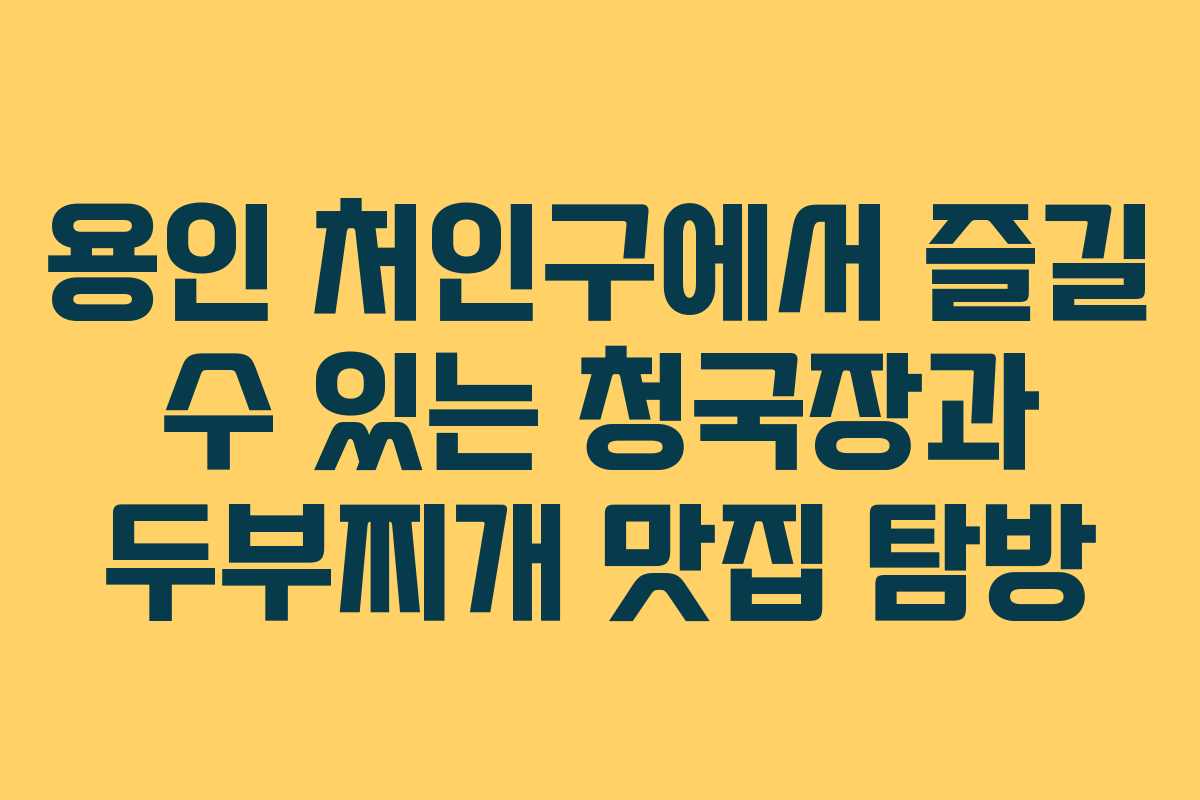 용인 처인구에서 즐길 수 있는 청국장과 두부찌개 맛집 탐방