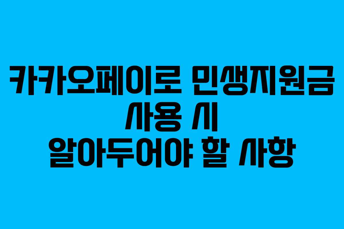 카카오페이로 민생지원금 사용 시 알아두어야 할 사항 카카오페이로 민생지원금 사용 시 알아두어야 할 사항